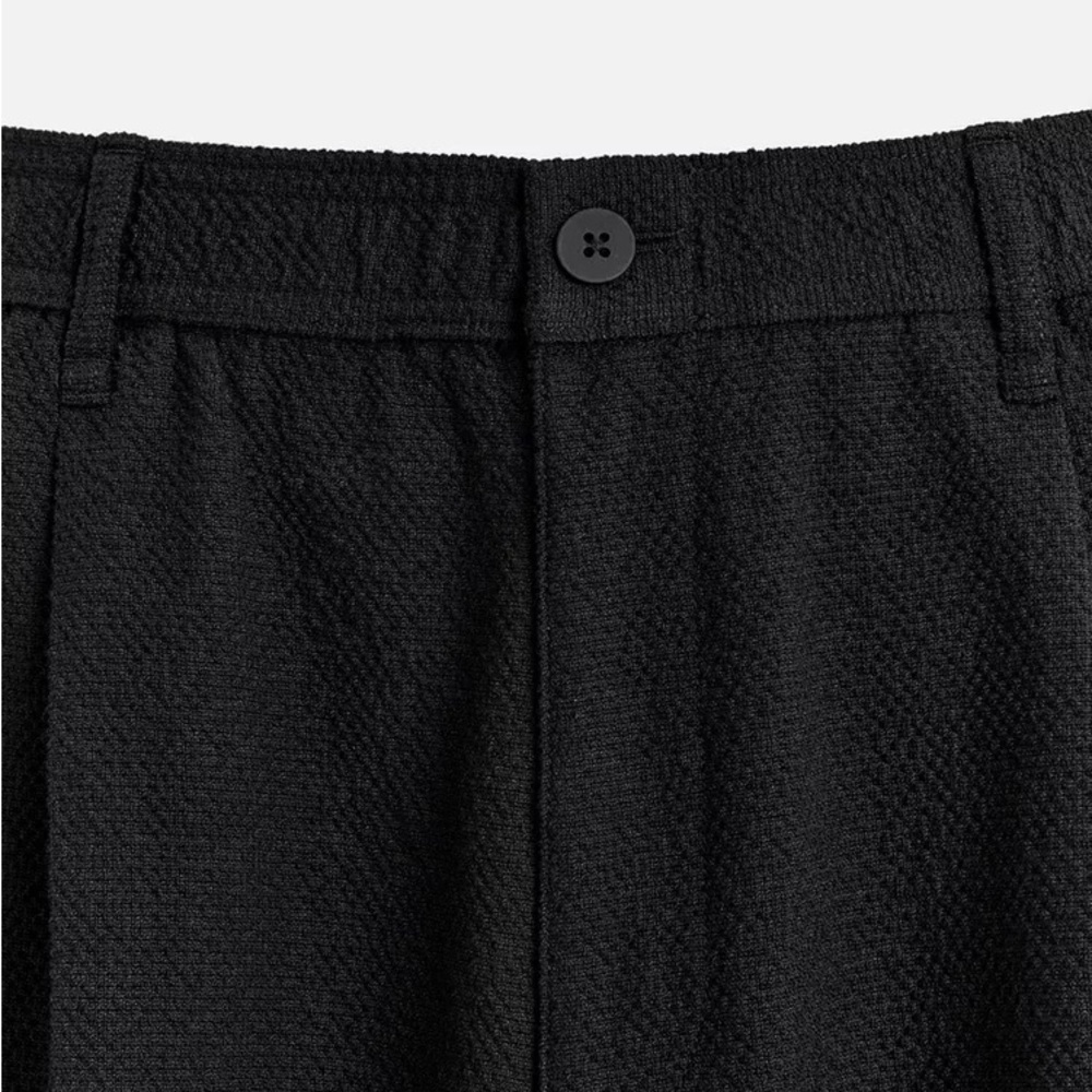 Zara textured pleated pants black